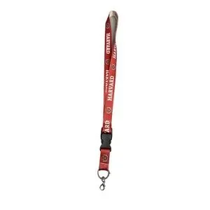 WinCraft NCAA Boston College Eagles Premium Lanyard Key Chain - Red, Officially Licensed - View #7
